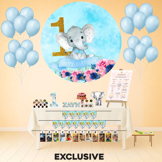 Elephant First Birthday Exclusive