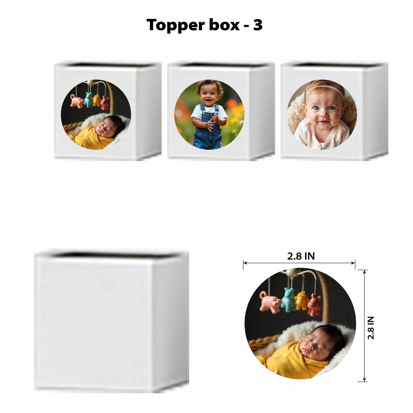 Kitty Wonderland Elite