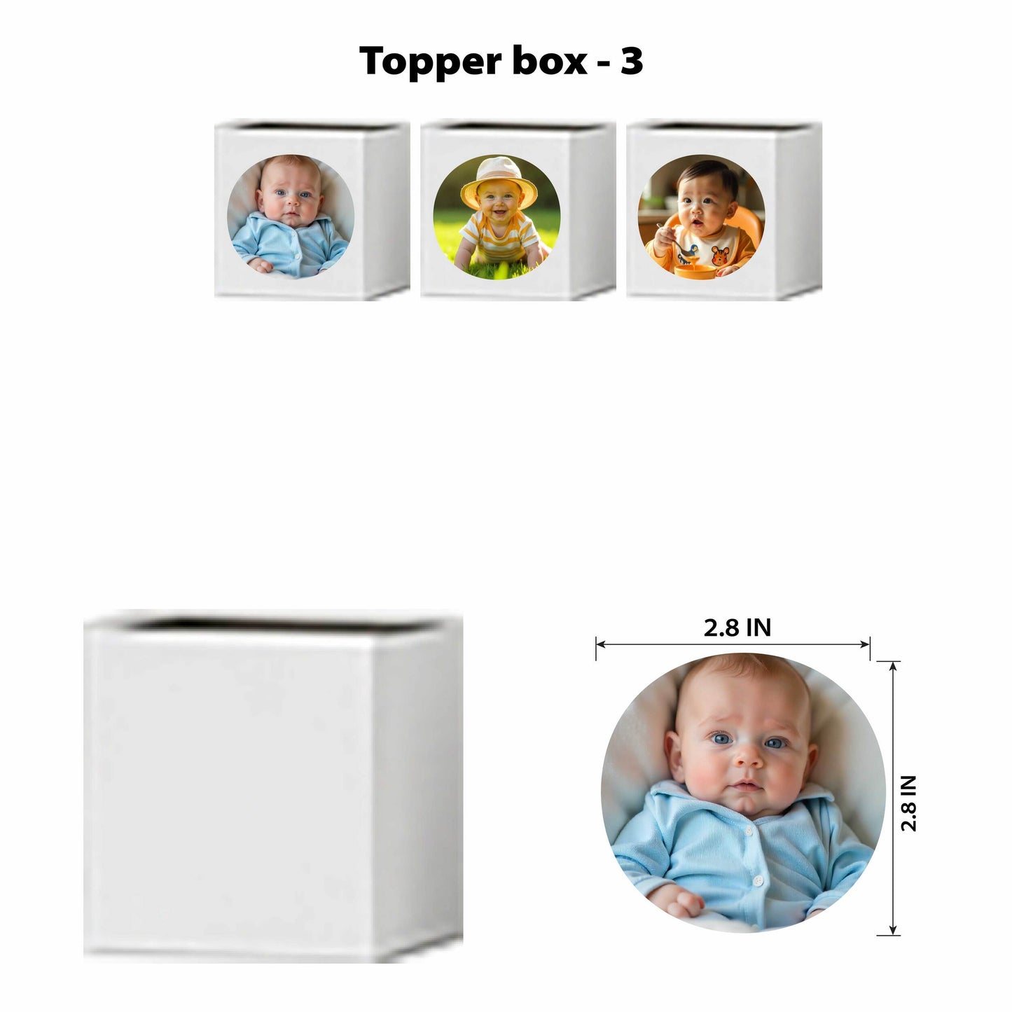 Enchanted Butterfly Pro